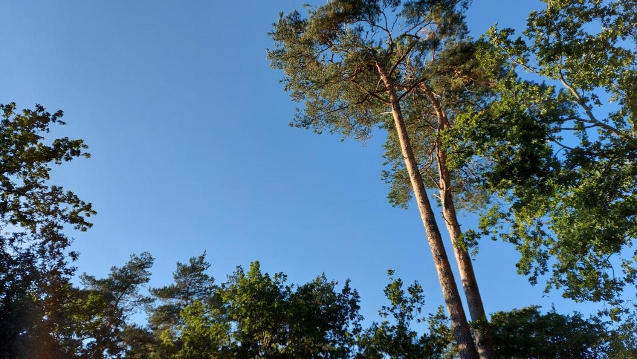 Vakantiehuis 't Edelhert